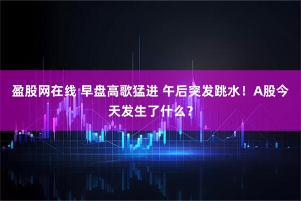 盈股网在线 早盘高歌猛进 午后突发跳水！A股今天发生了什么？