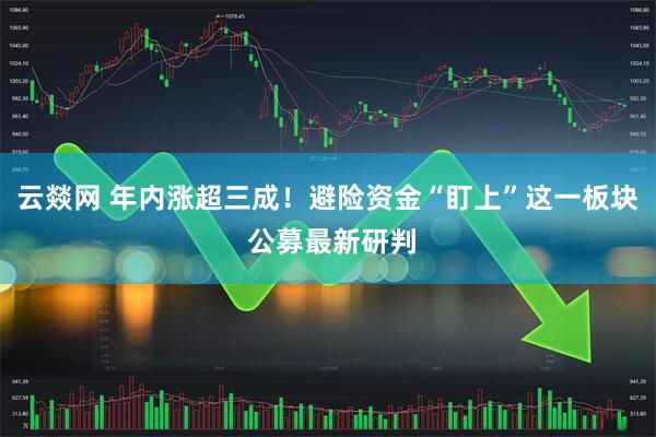 云燚网 年内涨超三成！避险资金“盯上”这一板块 公募最新研判
