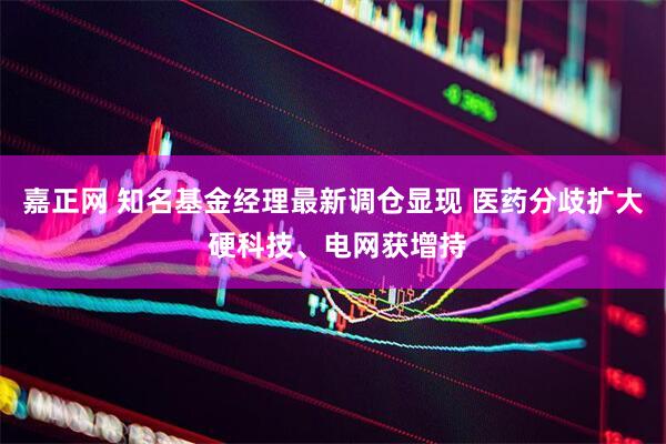 嘉正网 知名基金经理最新调仓显现 医药分歧扩大 硬科技、电网获增持