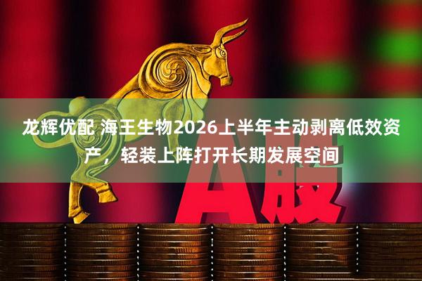 龙辉优配 海王生物2026上半年主动剥离低效资产，轻装上阵打开长期发展空间