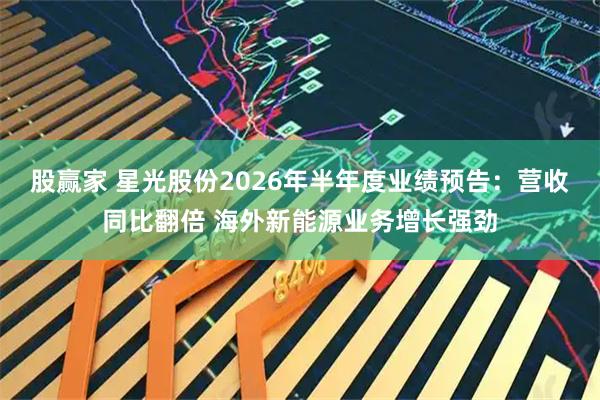 股赢家 星光股份2026年半年度业绩预告：营收同比翻倍 海外新能源业务增长强劲